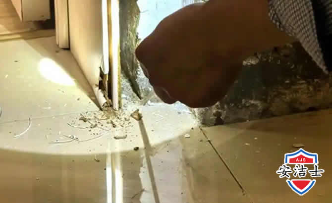 景宁房屋建筑防治白蚁