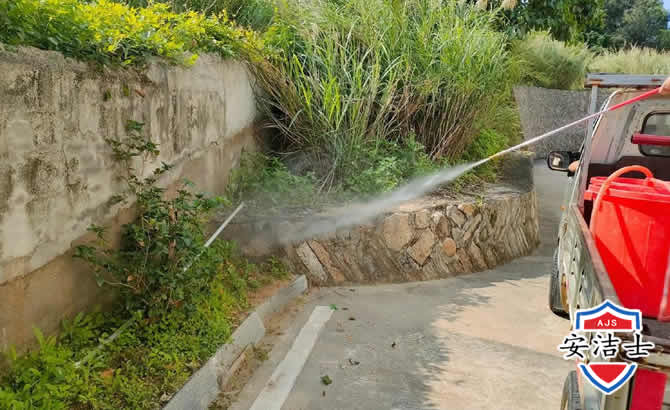 景宁道路堤坝白蚁防治