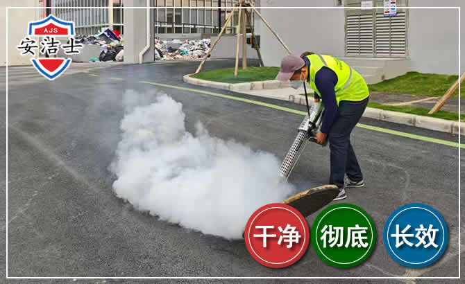 景宁消杀防疫现场