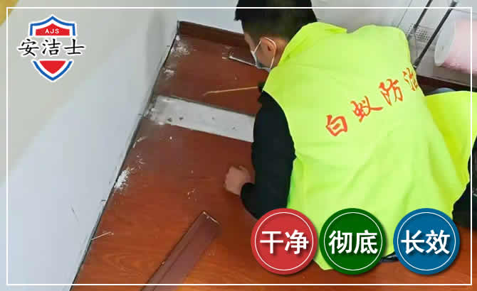 景宁除四害现场