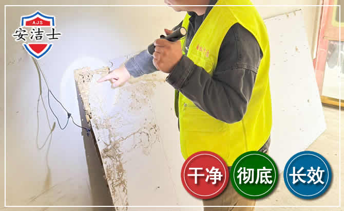 景宁除白蚁现场