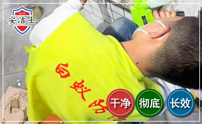 景宁白蚁根治现场